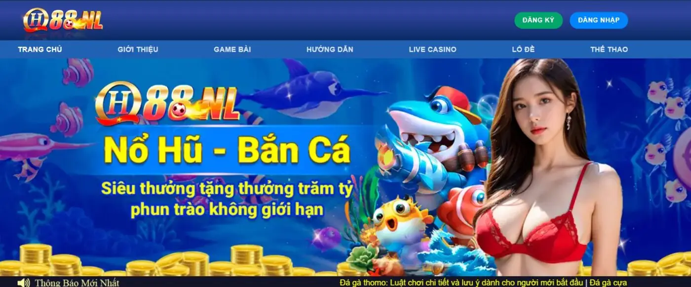 CEO Dustin Nguyễn 1 QH88 vươn lên dưới sự dẫn dắt của CEO Dustin Nguyễn